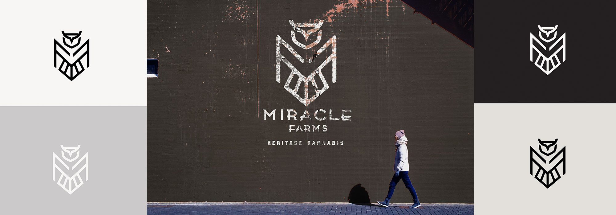 Miracle Farms wall